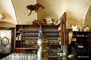 pivnice best beer hall pubs brasserie prague old town u zlateho tygra golden tiger